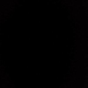 Meet your Posher, Gavin